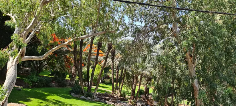 הקמת גינה יפה